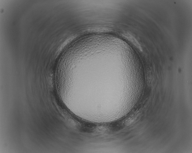 X0000077280111200611031535