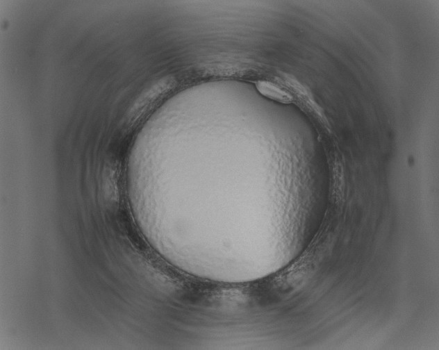 X0000077280114200611031535