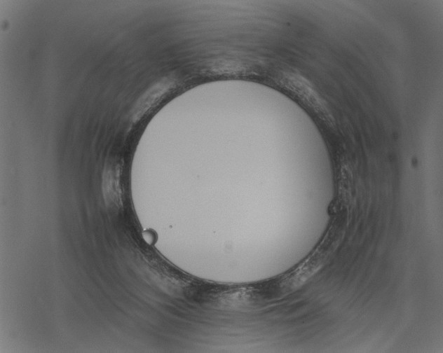 X0000077280116200611031535