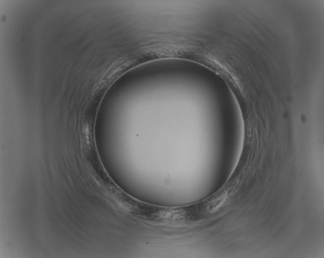 X0000077280117200611031535