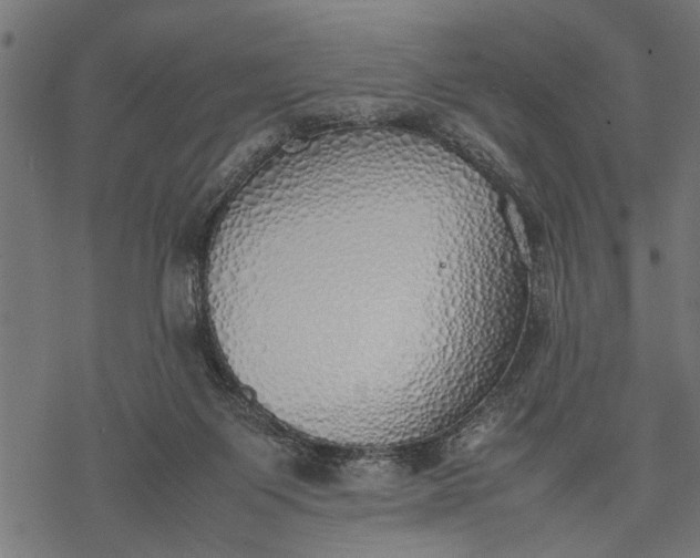 X0000077280119200611031535