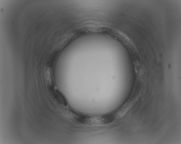 X0000077280121200611031535