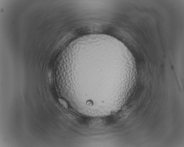 X0000077280123200611031535