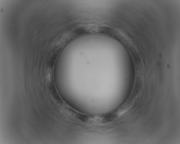 X0000077280125200611031535