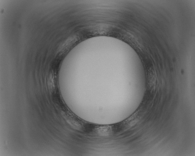 X0000077280126200611031535