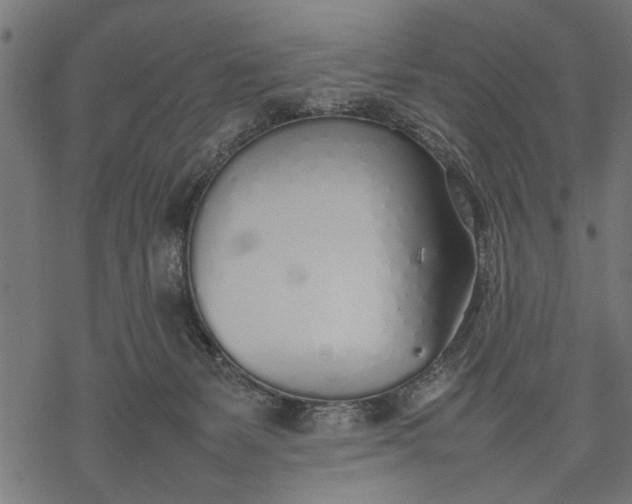 X0000077280127200611031535