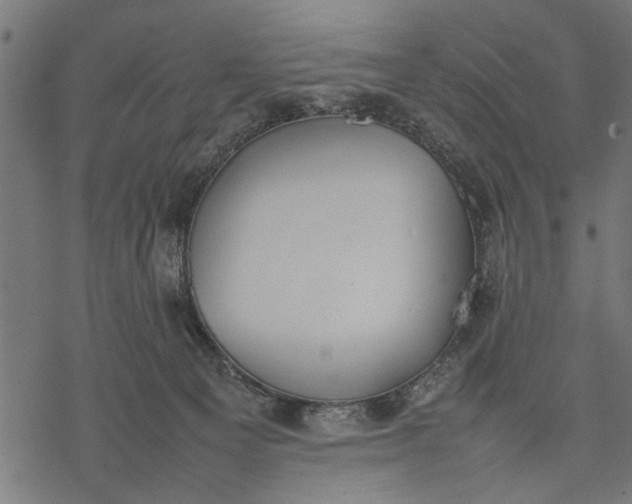 X0000077280129200611031535