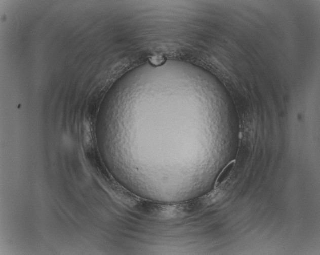 X0000077280130200611031535