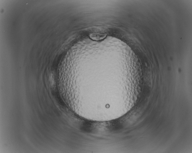 X0000077280131200611031535