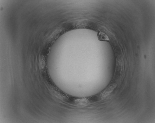 X0000077280133200611031535