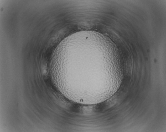 X0000077280134200611031535