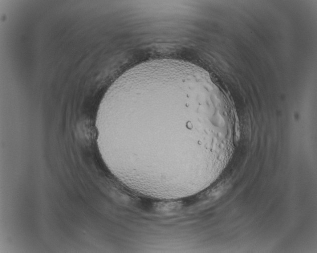 X0000077280135200611031535