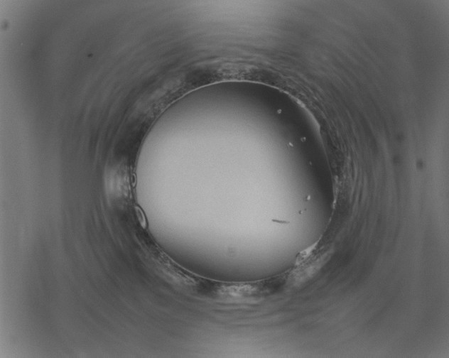 X0000077280137200611031535