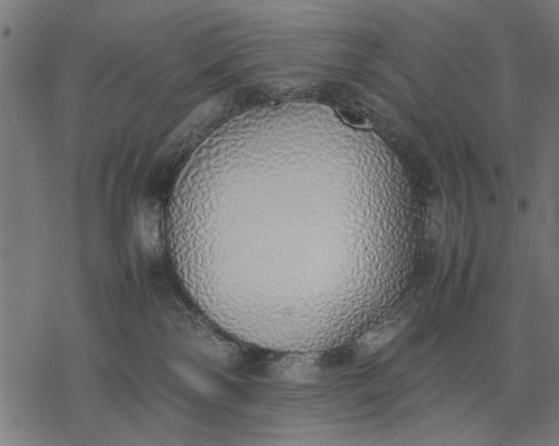 X0000077280138200611031535