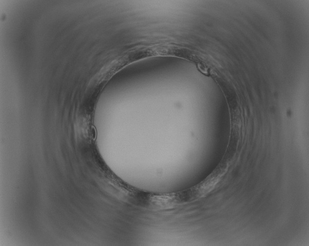 X0000077280139200611031535