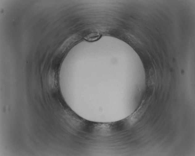 X0000077280140200611031535