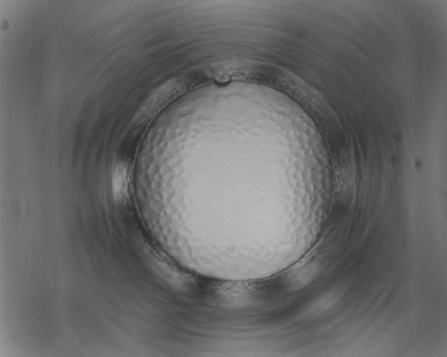 X0000077280142200611031534