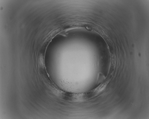 X0000077280143200611031534