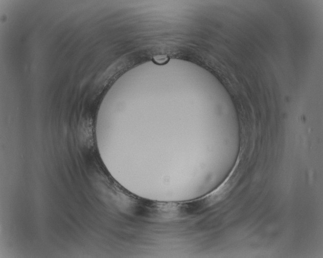 X0000077280144200611031534