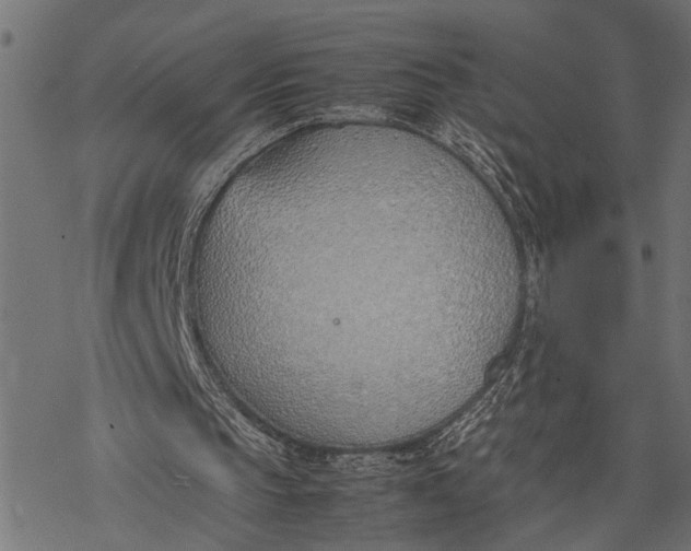 X0000077280145200611031534