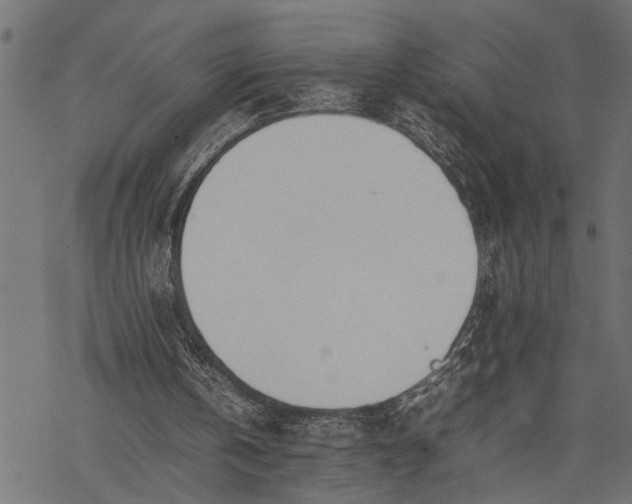 X0000077280146200611031534