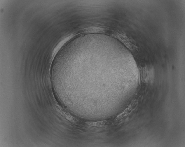 X0000077280147200611031534