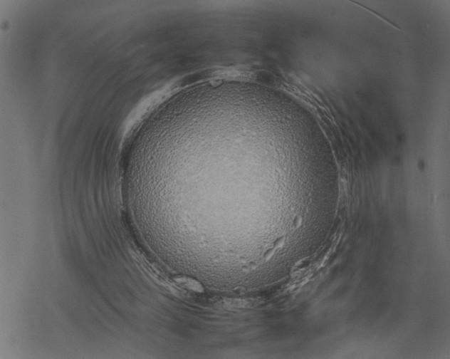 X0000077280149200611031534