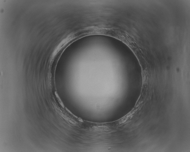 X0000077280150200611031534