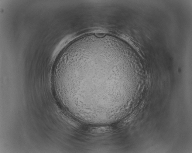 X0000077280151200611031534