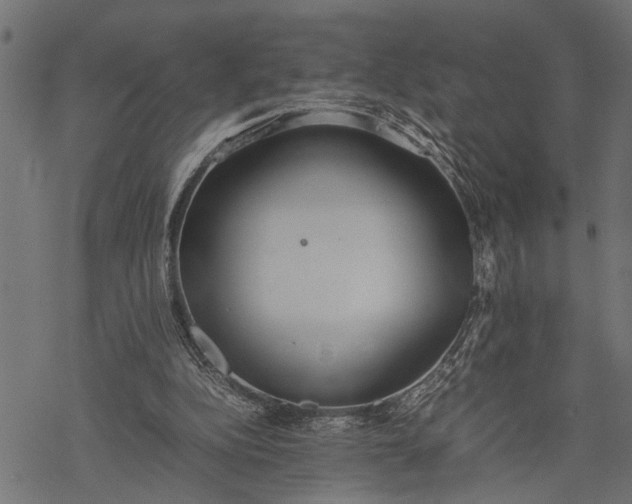 X0000077280152200611031534