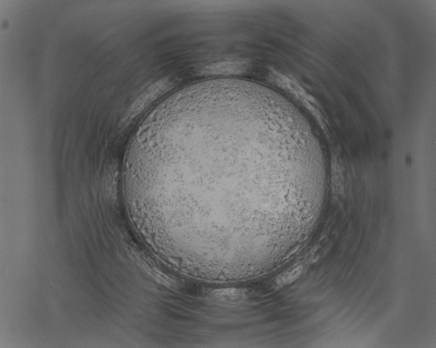 X0000077280153200611031534