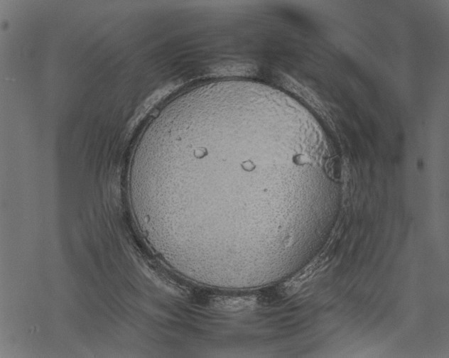 X0000077280155200611031534