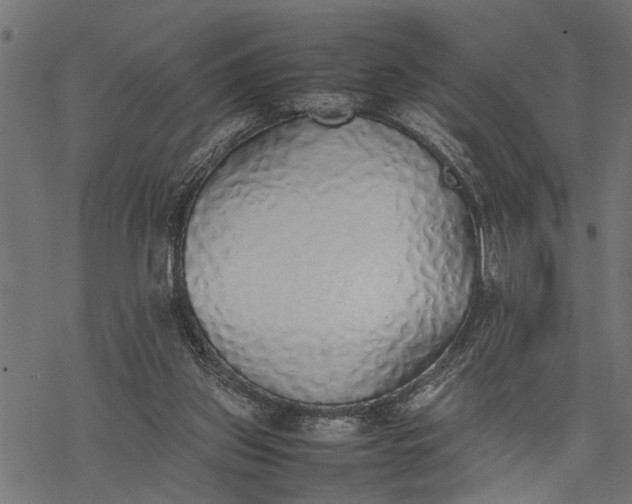 X0000077280157200611031534