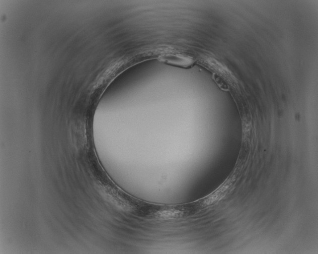 X0000077280158200611031534