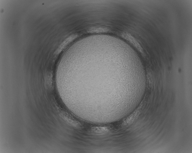 X0000077280159200611031534