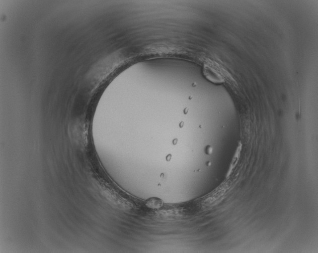 X0000077280160200611031534