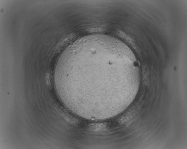 X0000077280161200611031534