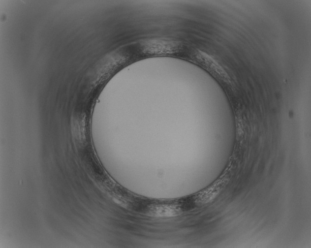 X0000077280163200611031534