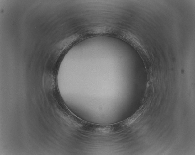 X0000077280164200611031534