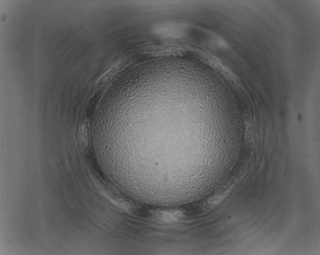 X0000077280165200611031534