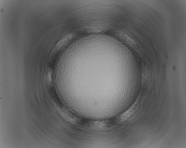 X0000077280166200611031534