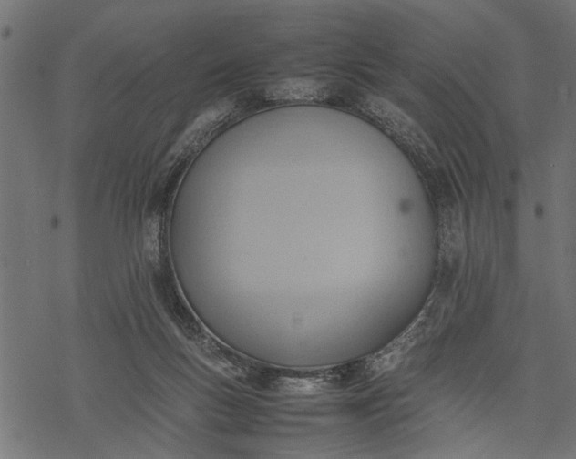 X0000077280167200611031534