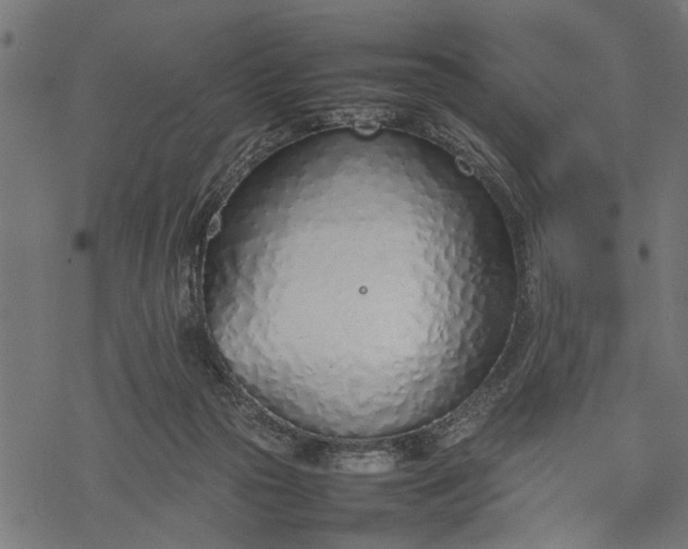 X0000077280169200611031534