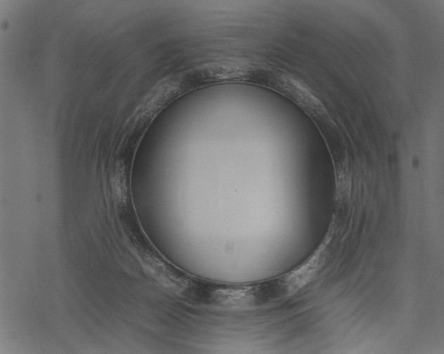 X0000077280170200611031534