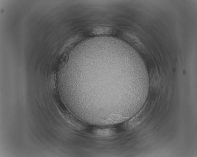 X0000077280171200611031534