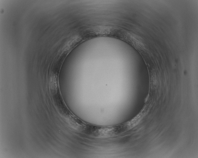 X0000077280172200611031534