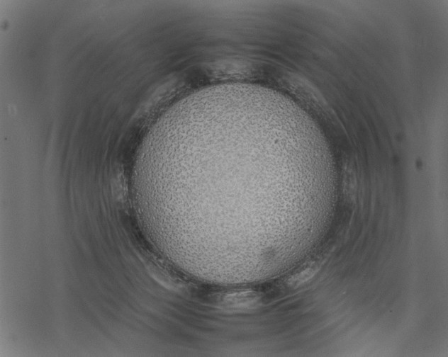 X0000077280173200611031534