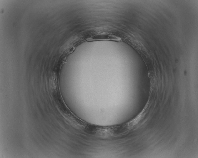 X0000077280174200611031534