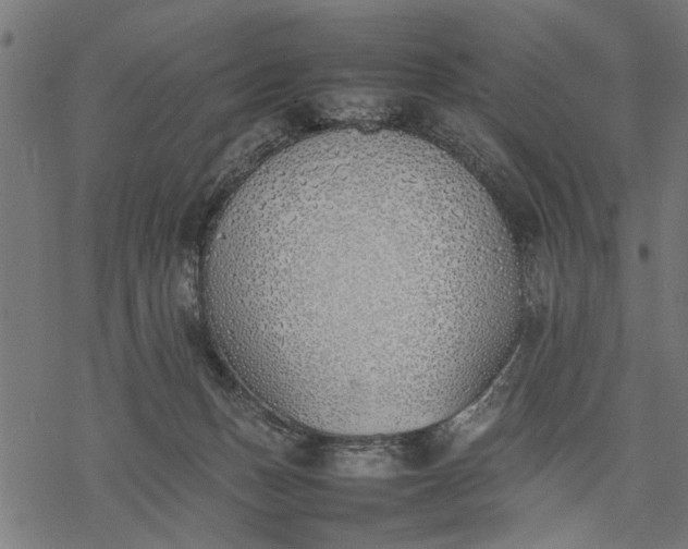 X0000077280175200611031534