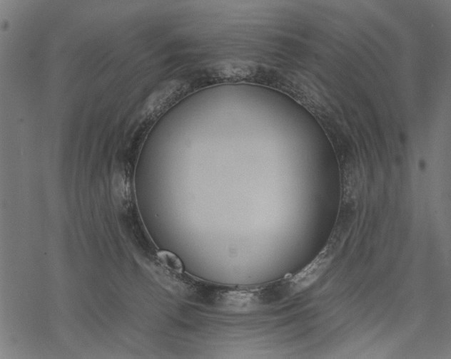 X0000077280176200611031534